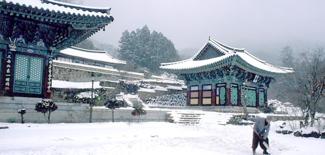 2a5c51ca93dca86689d59ee1d9923072_1643864759_81.jpg 2a5c51ca93dca86689d59ee1d9923072_1643864759_81.jpg