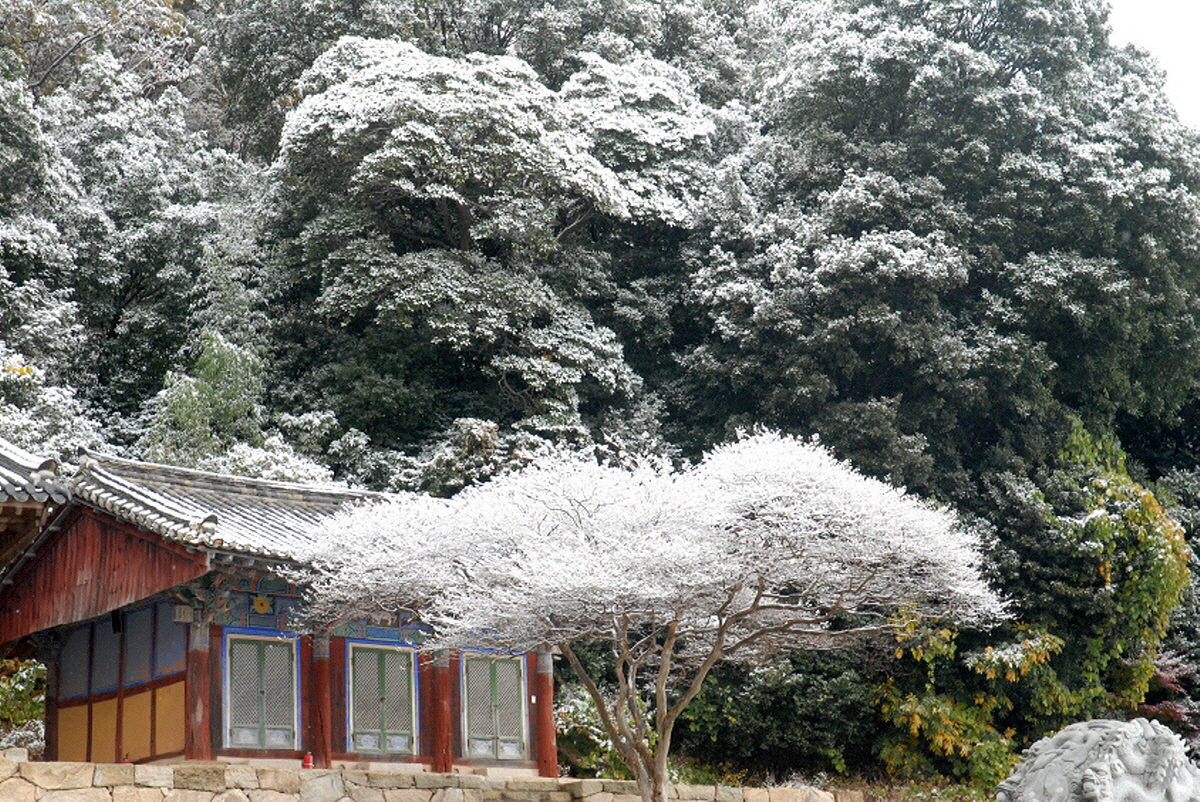 504f91fa29506fe180f6e30bbff6e398_1644127091_92.jpg 504f91fa29506fe180f6e30bbff6e398_1644127091_92.jpg