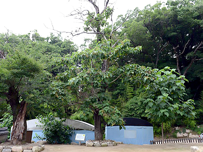 aab752d6df5eb12ff359df75e90d3892_1645014228_23.jpg aab752d6df5eb12ff359df75e90d3892_1645014228_23.jpg