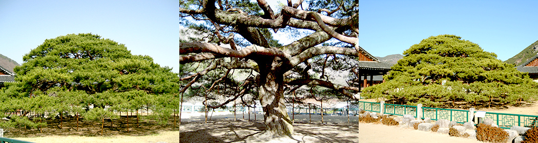 aab752d6df5eb12ff359df75e90d3892_1645124542_9.jpg aab752d6df5eb12ff359df75e90d3892_1645124542_9.jpg