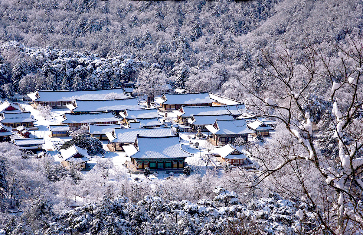 aab752d6df5eb12ff359df75e90d3892_1645194267_26.jpg aab752d6df5eb12ff359df75e90d3892_1645194267_26.jpg