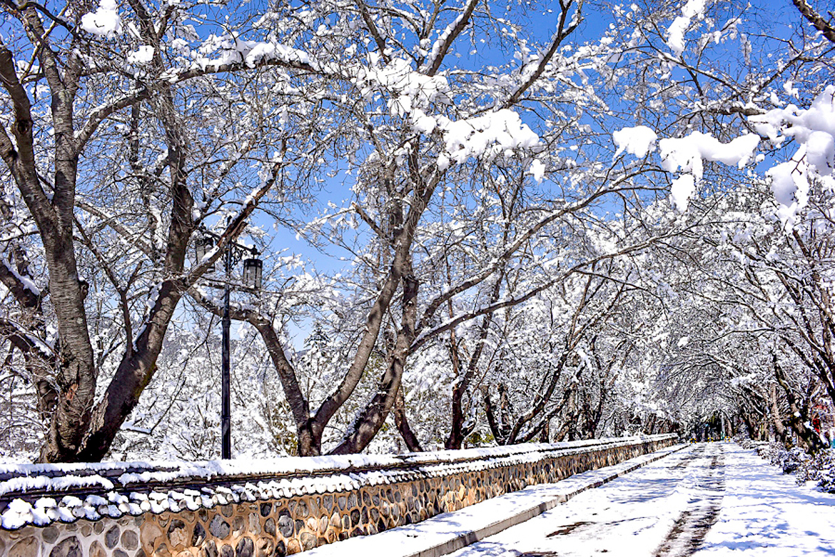 aab752d6df5eb12ff359df75e90d3892_1645194267_58.jpg aab752d6df5eb12ff359df75e90d3892_1645194267_58.jpg