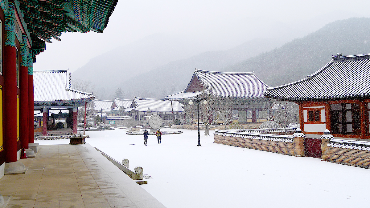 aab752d6df5eb12ff359df75e90d3892_1645194268_01.jpg aab752d6df5eb12ff359df75e90d3892_1645194268_01.jpg