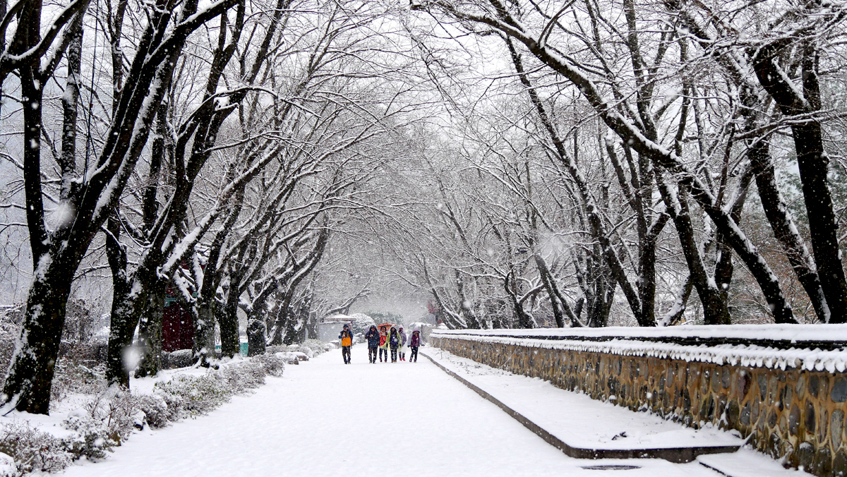 aab752d6df5eb12ff359df75e90d3892_1645194275_15.jpg aab752d6df5eb12ff359df75e90d3892_1645194275_15.jpg