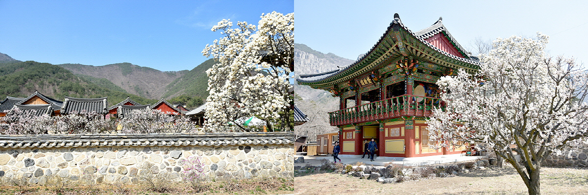 aab752d6df5eb12ff359df75e90d3892_1645194275_63.jpg aab752d6df5eb12ff359df75e90d3892_1645194275_63.jpg