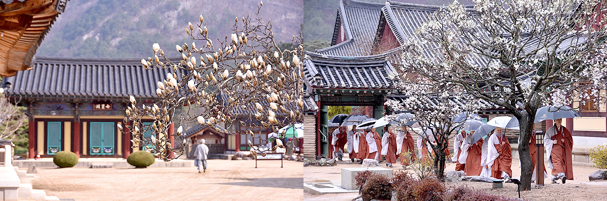 aab752d6df5eb12ff359df75e90d3892_1645194275_79.jpg aab752d6df5eb12ff359df75e90d3892_1645194275_79.jpg