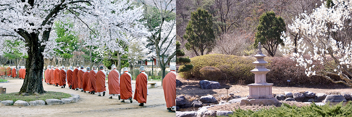 aab752d6df5eb12ff359df75e90d3892_1645194275_94.jpg aab752d6df5eb12ff359df75e90d3892_1645194275_94.jpg