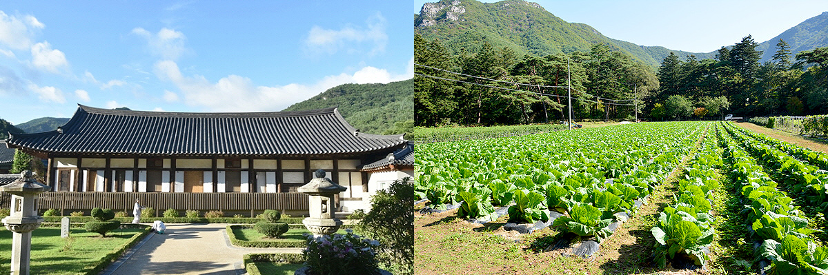 aab752d6df5eb12ff359df75e90d3892_1645194277_23.jpg aab752d6df5eb12ff359df75e90d3892_1645194277_23.jpg