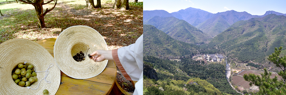 aab752d6df5eb12ff359df75e90d3892_1645194277_53.jpg aab752d6df5eb12ff359df75e90d3892_1645194277_53.jpg