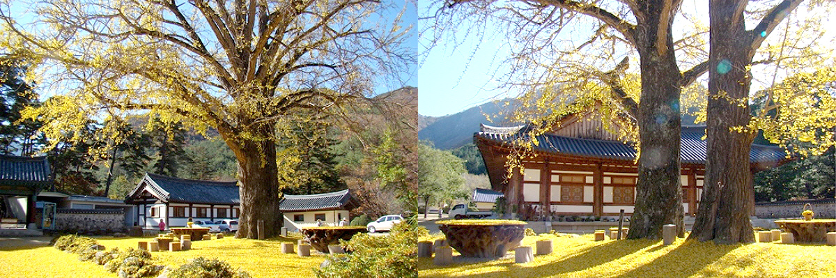 aab752d6df5eb12ff359df75e90d3892_1645194277_68.jpg aab752d6df5eb12ff359df75e90d3892_1645194277_68.jpg