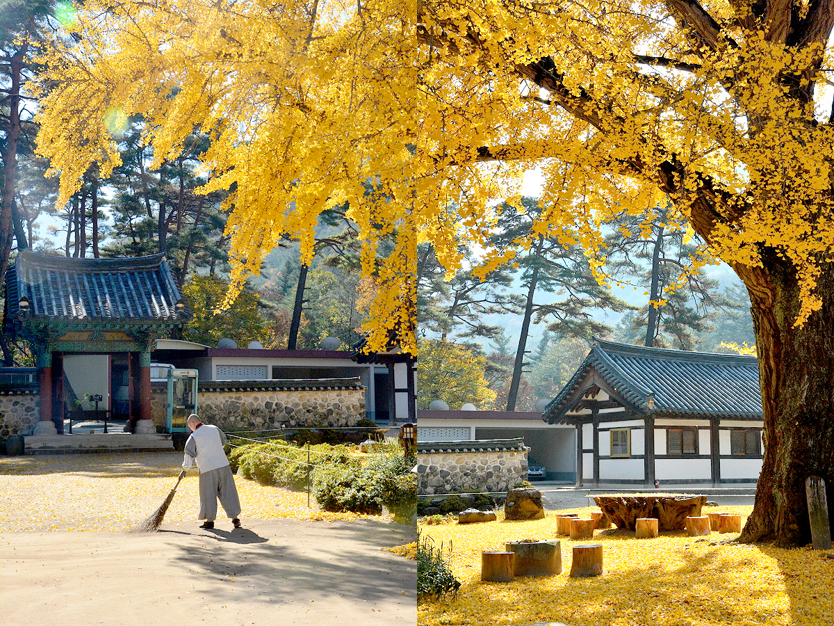 aab752d6df5eb12ff359df75e90d3892_1645194278_01.jpg aab752d6df5eb12ff359df75e90d3892_1645194278_01.jpg