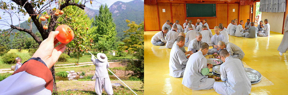 aab752d6df5eb12ff359df75e90d3892_1645194278_2.jpg aab752d6df5eb12ff359df75e90d3892_1645194278_2.jpg