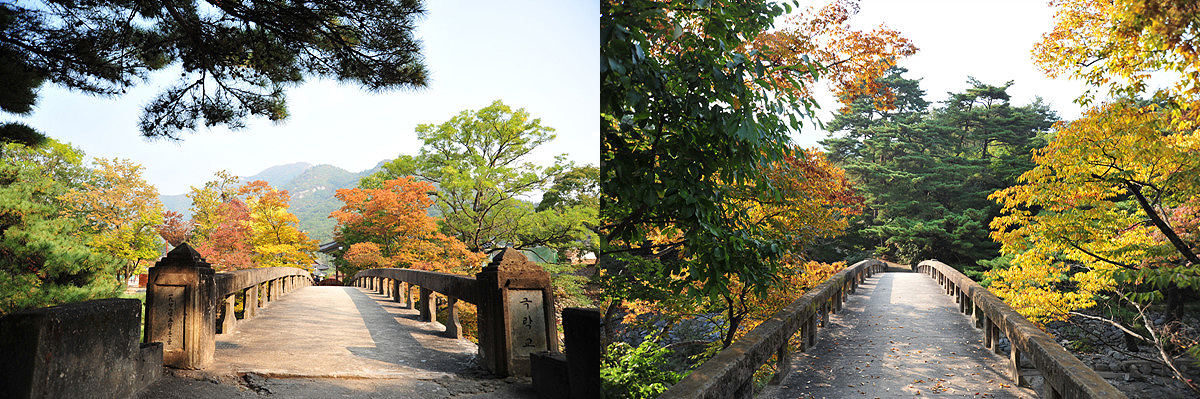 aab752d6df5eb12ff359df75e90d3892_1645194278_45.jpg aab752d6df5eb12ff359df75e90d3892_1645194278_45.jpg