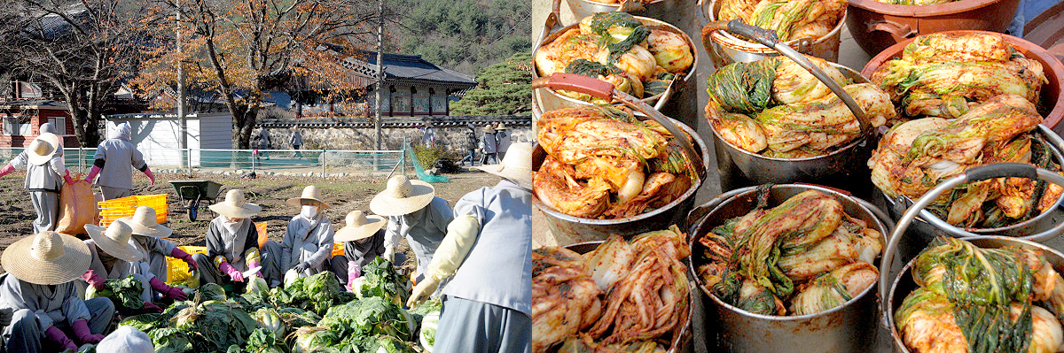 aab752d6df5eb12ff359df75e90d3892_1645194278_81.jpg aab752d6df5eb12ff359df75e90d3892_1645194278_81.jpg