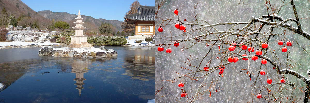 aab752d6df5eb12ff359df75e90d3892_1645194279_18.jpg aab752d6df5eb12ff359df75e90d3892_1645194279_18.jpg