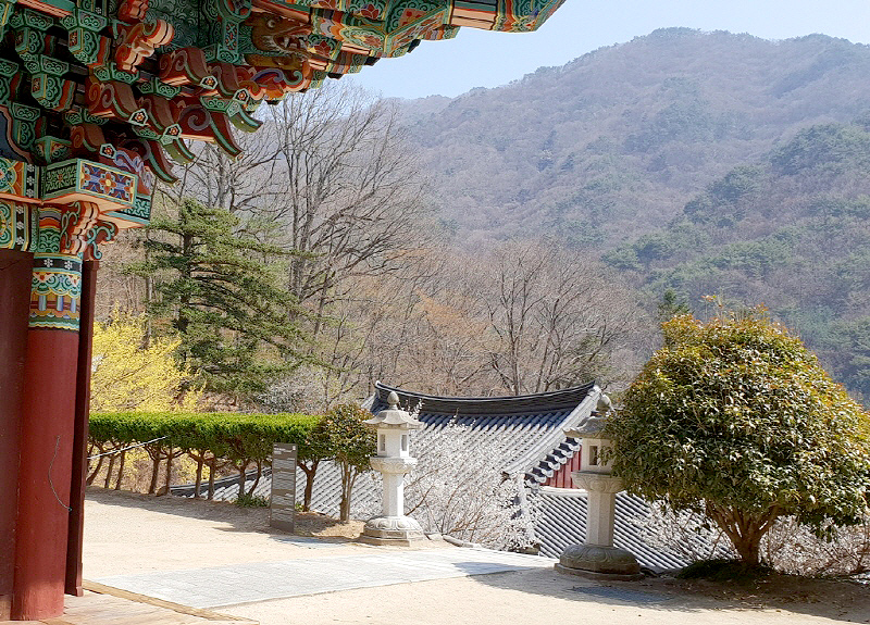 aab752d6df5eb12ff359df75e90d3892_1645302893_15.jpg aab752d6df5eb12ff359df75e90d3892_1645302893_15.jpg