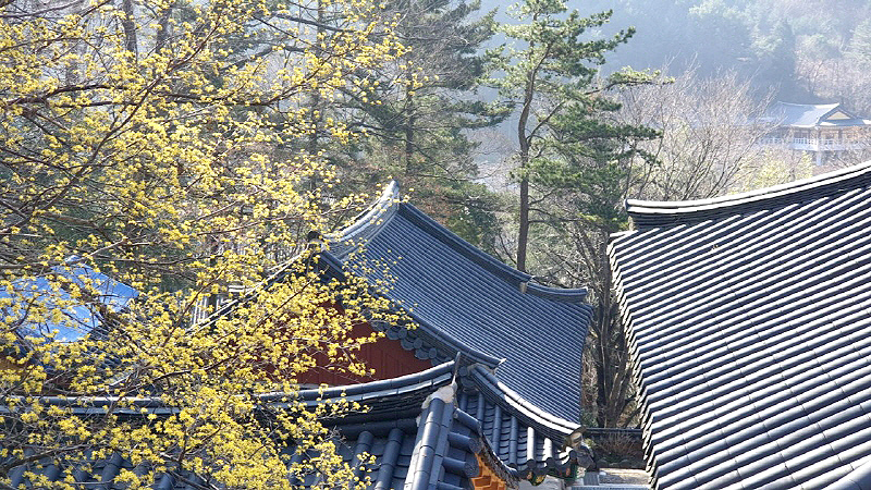 aab752d6df5eb12ff359df75e90d3892_1645302893_48.jpg aab752d6df5eb12ff359df75e90d3892_1645302893_48.jpg