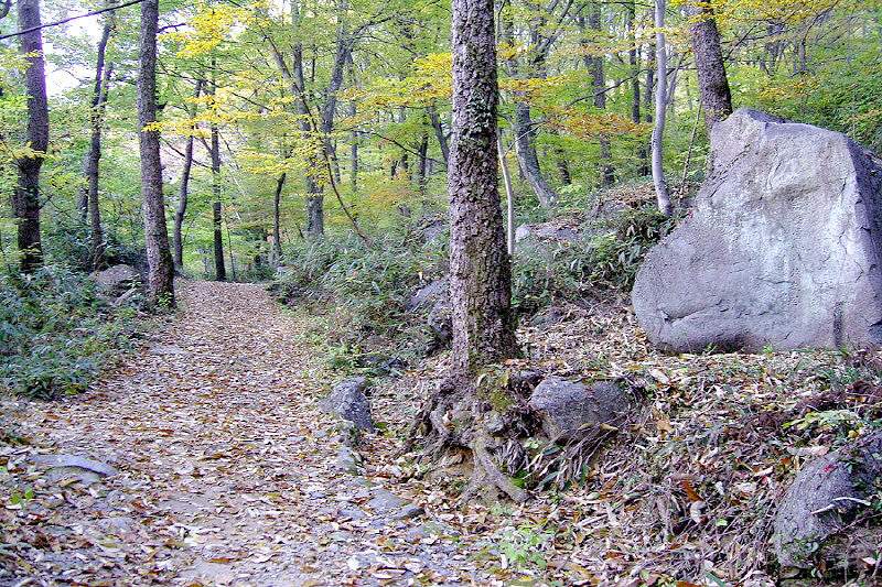 aab752d6df5eb12ff359df75e90d3892_1645309938_78.jpg aab752d6df5eb12ff359df75e90d3892_1645309938_78.jpg