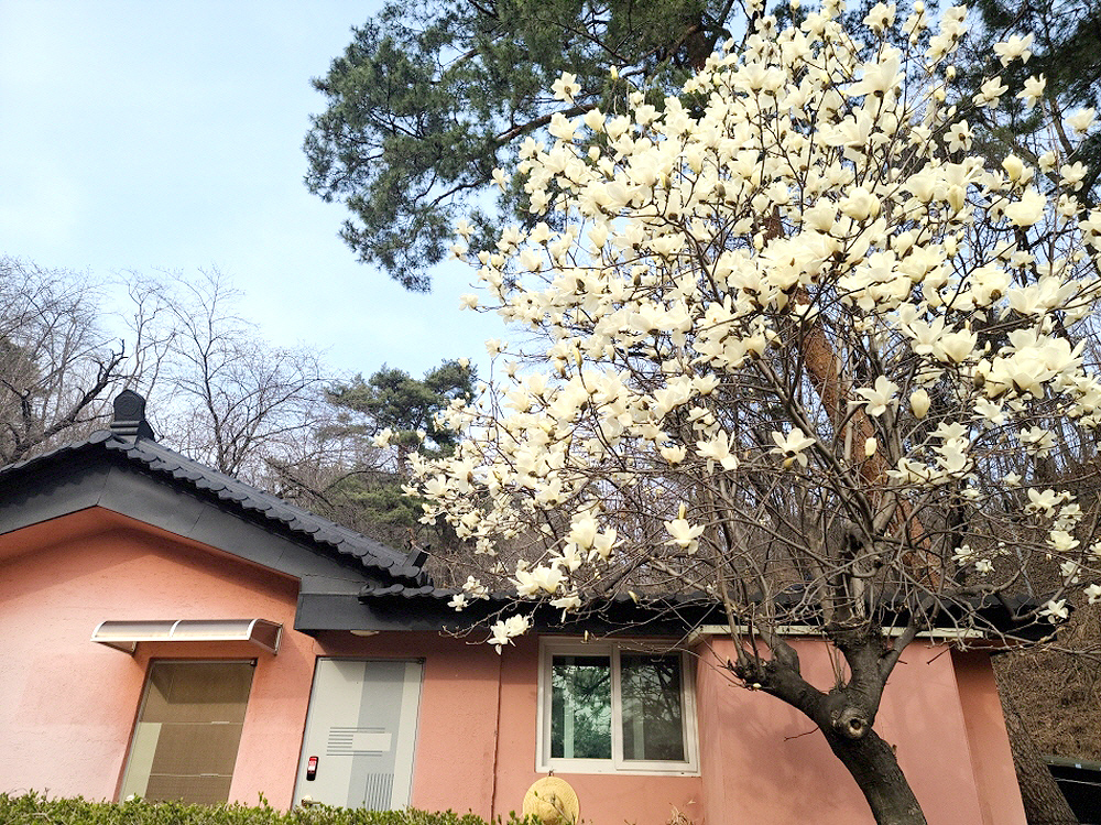 aab752d6df5eb12ff359df75e90d3892_1645693102_66.jpg aab752d6df5eb12ff359df75e90d3892_1645693102_66.jpg