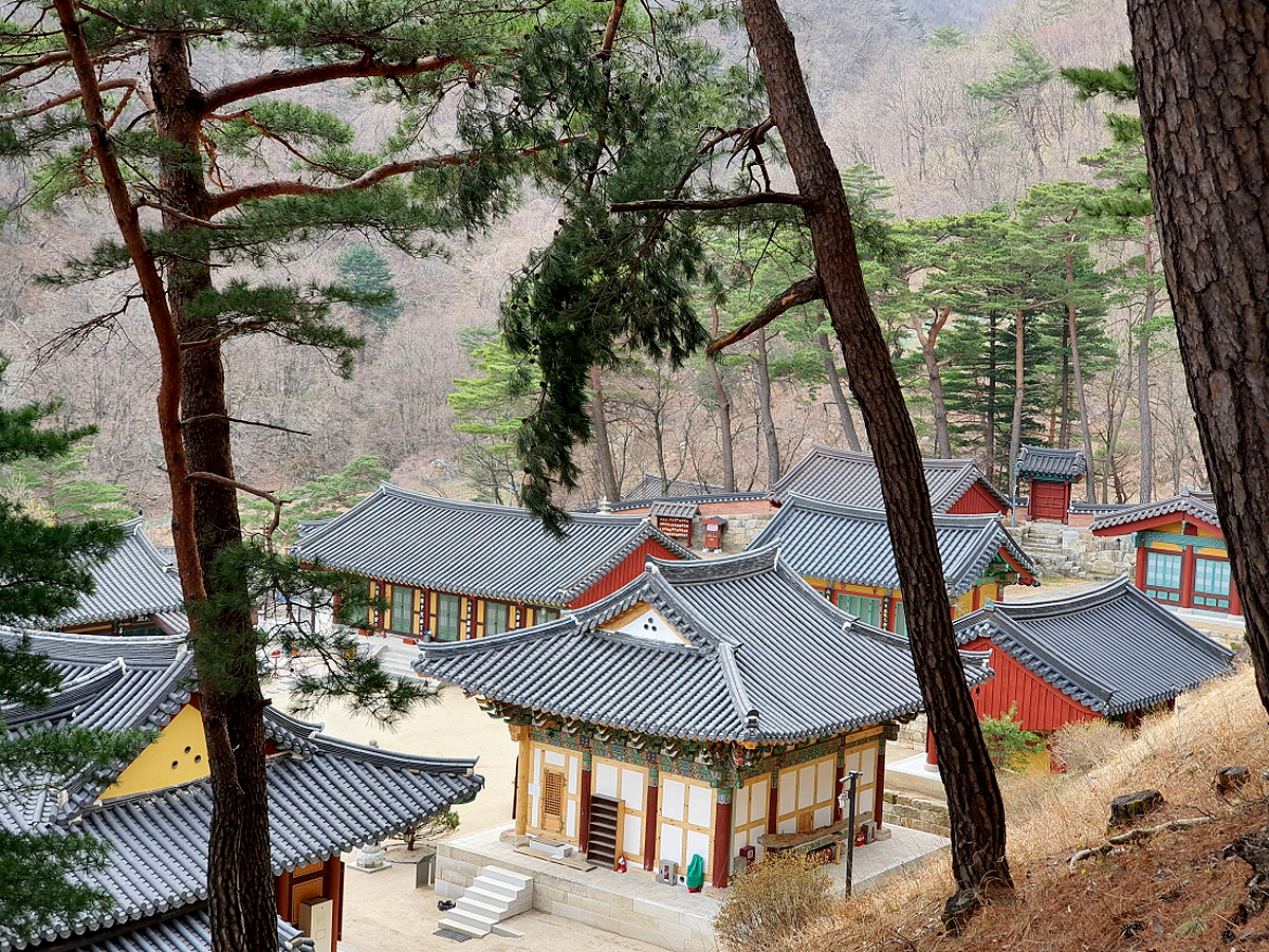 afae3bc5a511535e45a50a380b795a5f_1644309201_46.jpg afae3bc5a511535e45a50a380b795a5f_1644309201_46.jpg