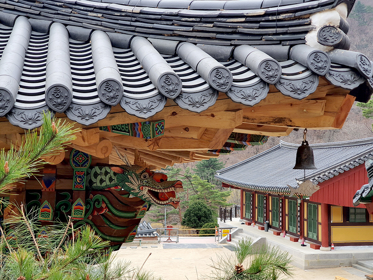 afae3bc5a511535e45a50a380b795a5f_1644309201_73.jpg afae3bc5a511535e45a50a380b795a5f_1644309201_73.jpg