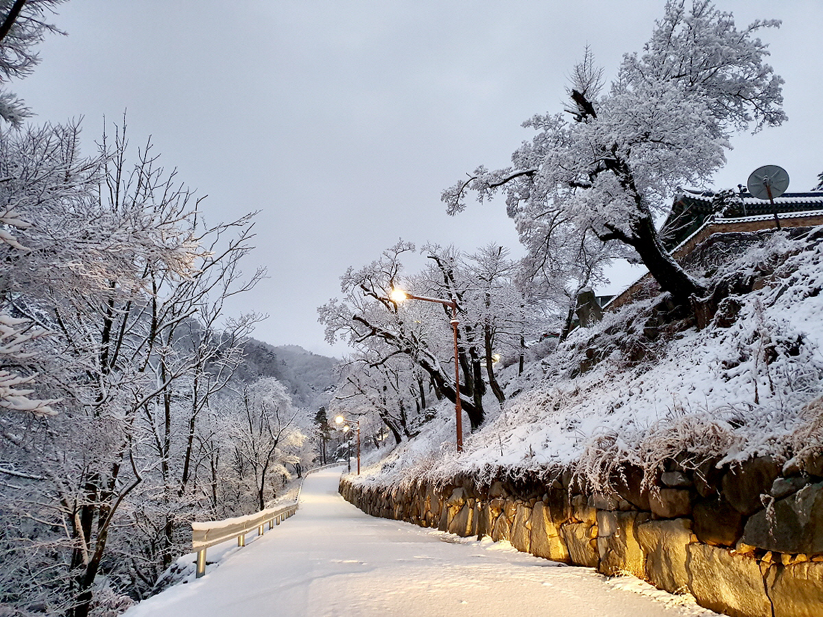 afae3bc5a511535e45a50a380b795a5f_1644309203_57.jpg afae3bc5a511535e45a50a380b795a5f_1644309203_57.jpg