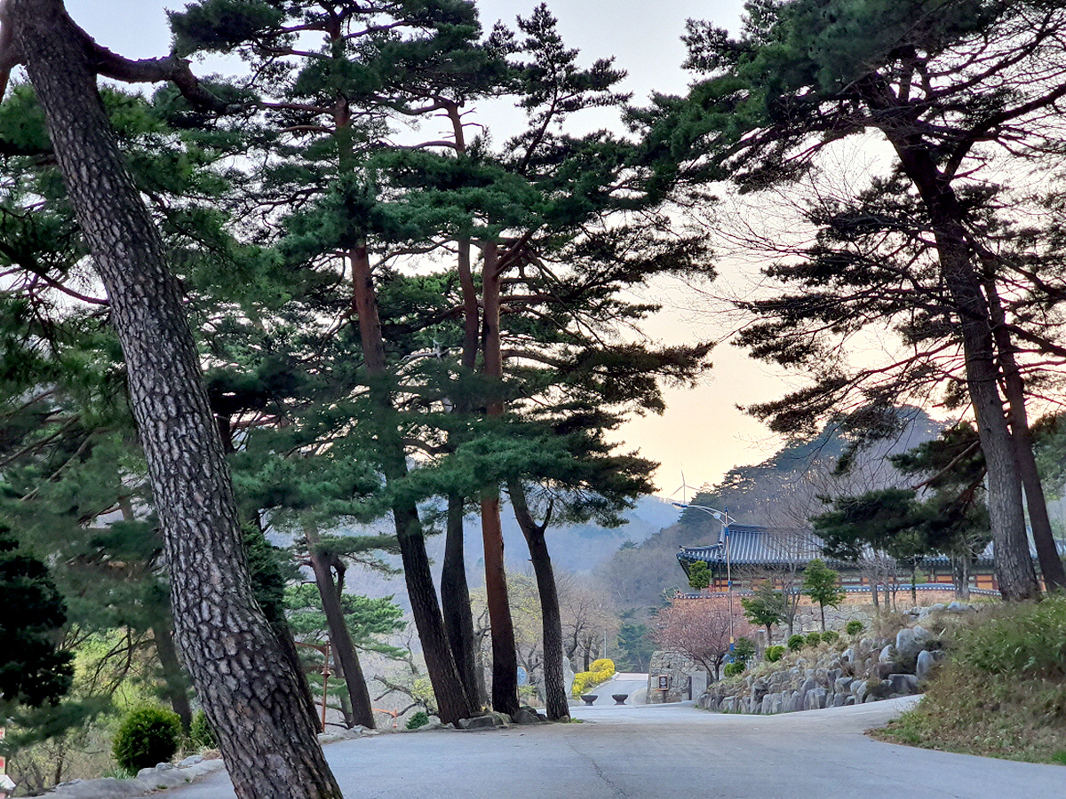 afae3bc5a511535e45a50a380b795a5f_1644309204_1.jpg afae3bc5a511535e45a50a380b795a5f_1644309204_1.jpg