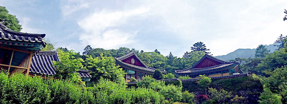 c817dfdd45a30a9882094acc26796aed_1644750695_72.jpg c817dfdd45a30a9882094acc26796aed_1644750695_72.jpg