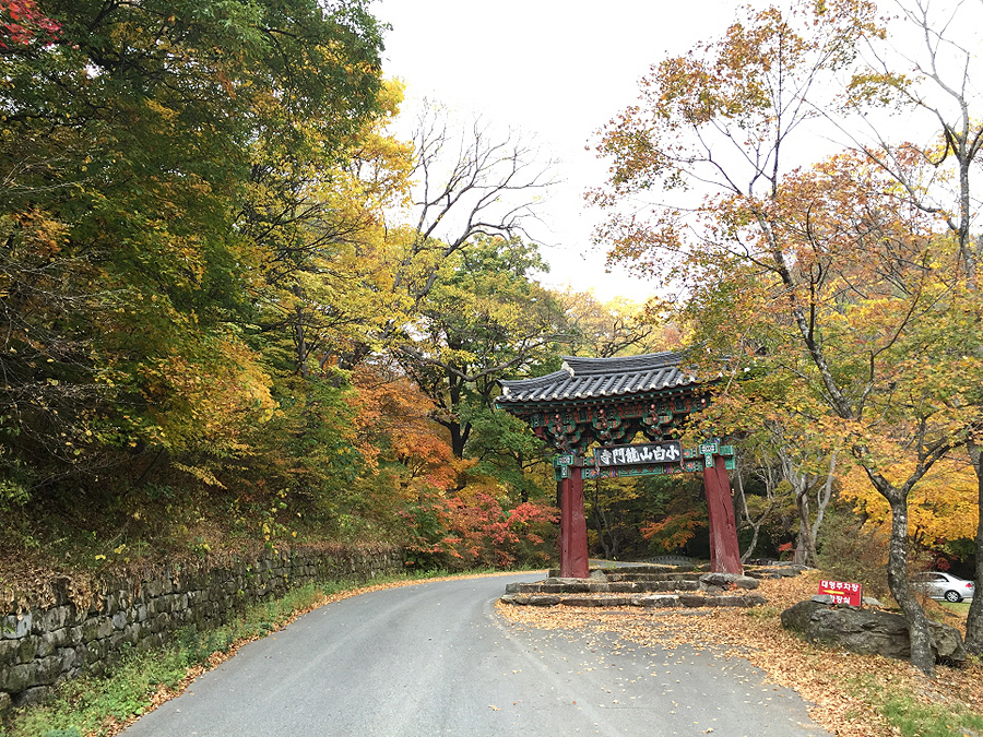 c817dfdd45a30a9882094acc26796aed_1644873188_1.jpg c817dfdd45a30a9882094acc26796aed_1644873188_1.jpg