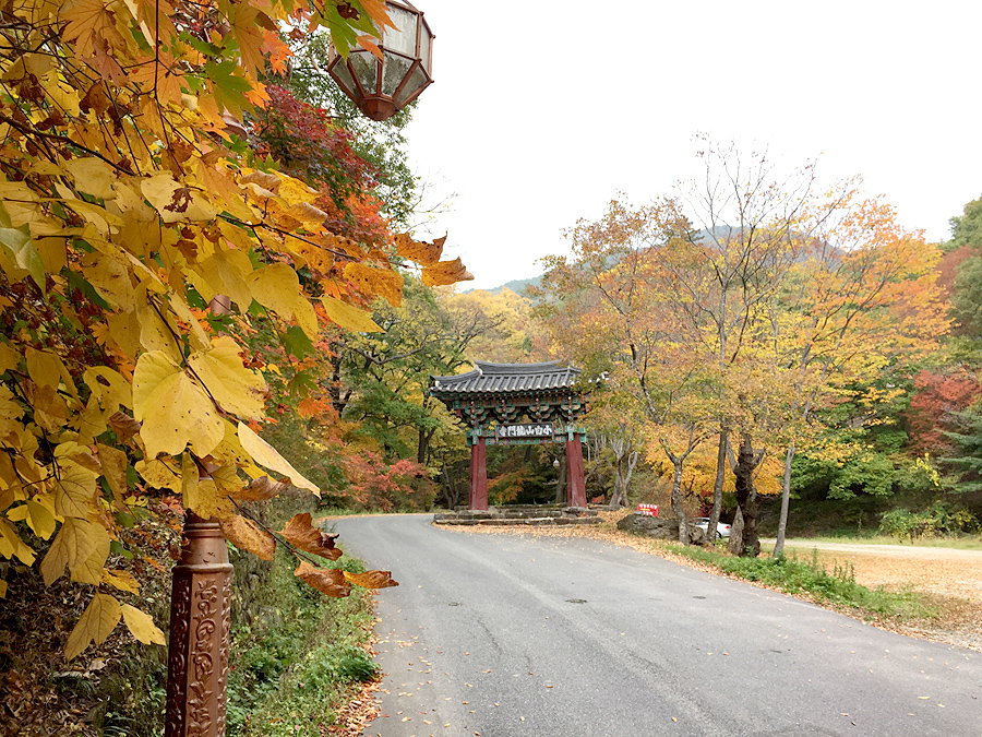 c817dfdd45a30a9882094acc26796aed_1644873188_65.jpg c817dfdd45a30a9882094acc26796aed_1644873188_65.jpg