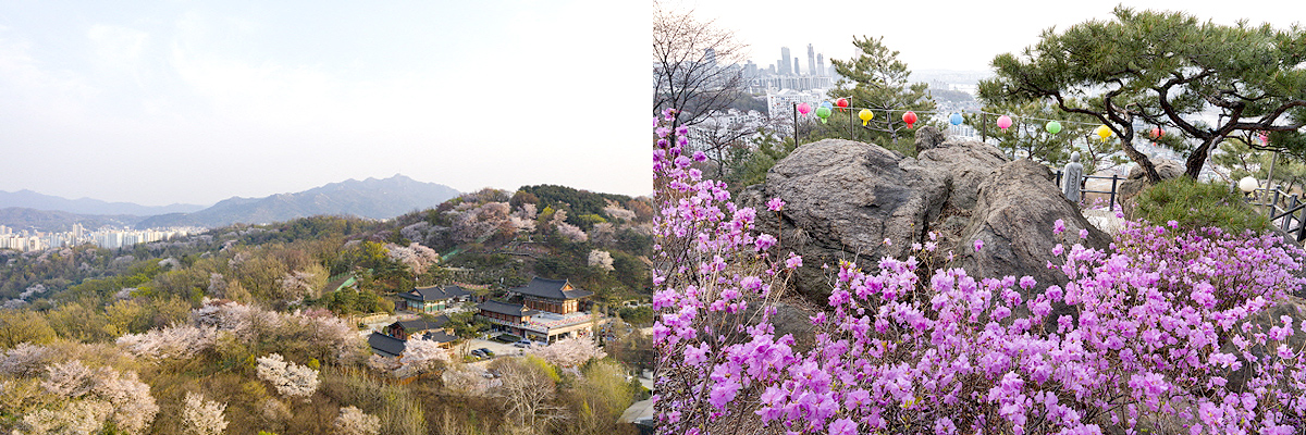 aab752d6df5eb12ff359df75e90d3892_1646535376_97.jpg aab752d6df5eb12ff359df75e90d3892_1646535376_97.jpg