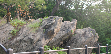 7f29a40b0ae61b5ec2a5f64520814a4c_1713361556_46.jpg 7f29a40b0ae61b5ec2a5f64520814a4c_1713361556_46.jpg