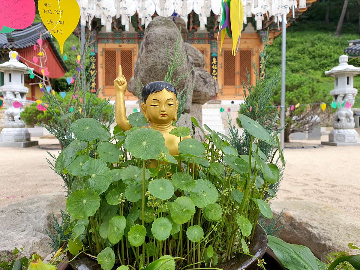 b7d494e9e395ea69afb53743726991f2_1714019859.jpg b7d494e9e395ea69afb53743726991f2_1714019859.jpg