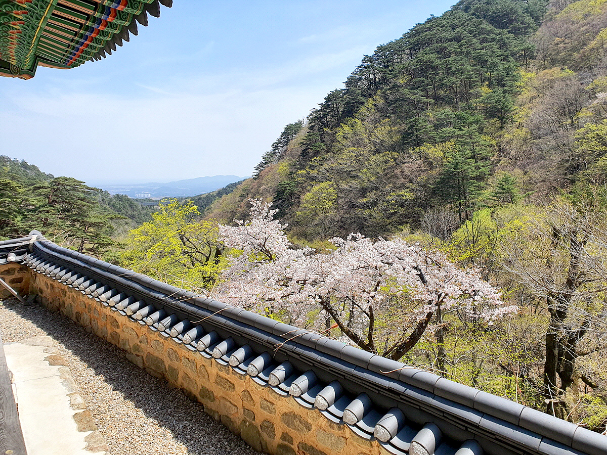 b7d494e9e395ea69afb53743726991f2_1714019859_52.jpg b7d494e9e395ea69afb53743726991f2_1714019859_52.jpg