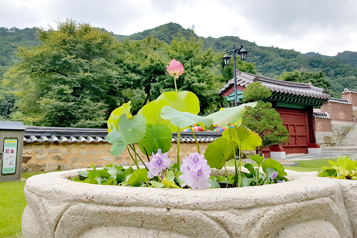 b7d494e9e395ea69afb53743726991f2_1714019860_31.jpg b7d494e9e395ea69afb53743726991f2_1714019860_31.jpg