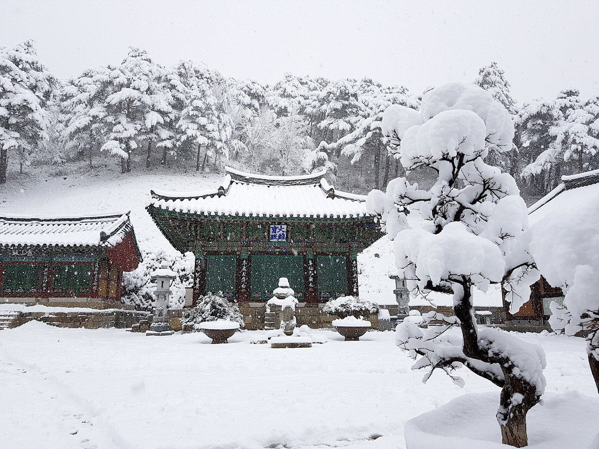 b7d494e9e395ea69afb53743726991f2_1714019868_02.jpg b7d494e9e395ea69afb53743726991f2_1714019868_02.jpg