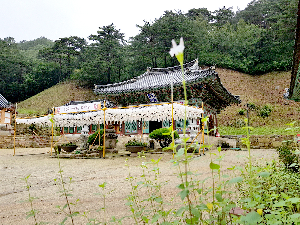 b7d494e9e395ea69afb53743726991f2_1714019868_29.jpg b7d494e9e395ea69afb53743726991f2_1714019868_29.jpg