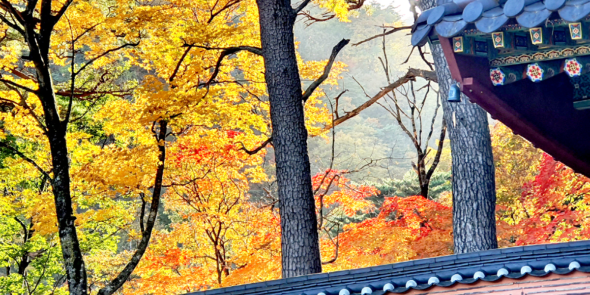 b7d494e9e395ea69afb53743726991f2_1714019868_99.jpg b7d494e9e395ea69afb53743726991f2_1714019868_99.jpg