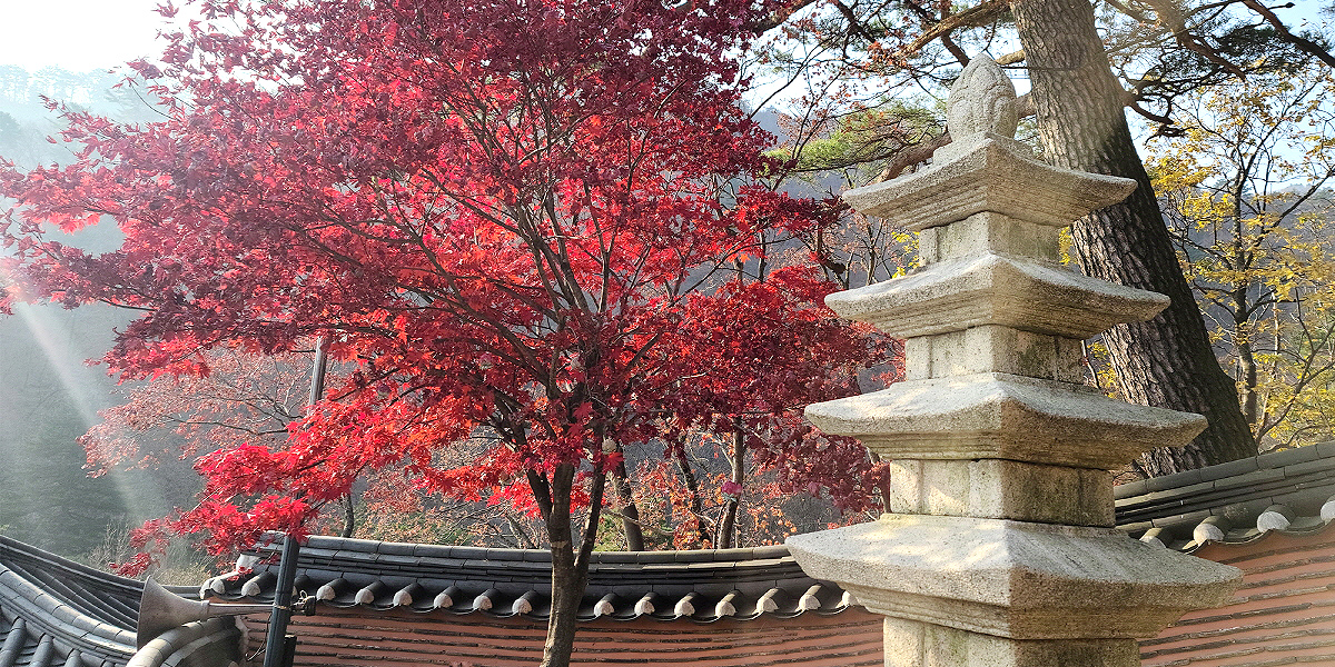 b7d494e9e395ea69afb53743726991f2_1714019869_24.jpg b7d494e9e395ea69afb53743726991f2_1714019869_24.jpg