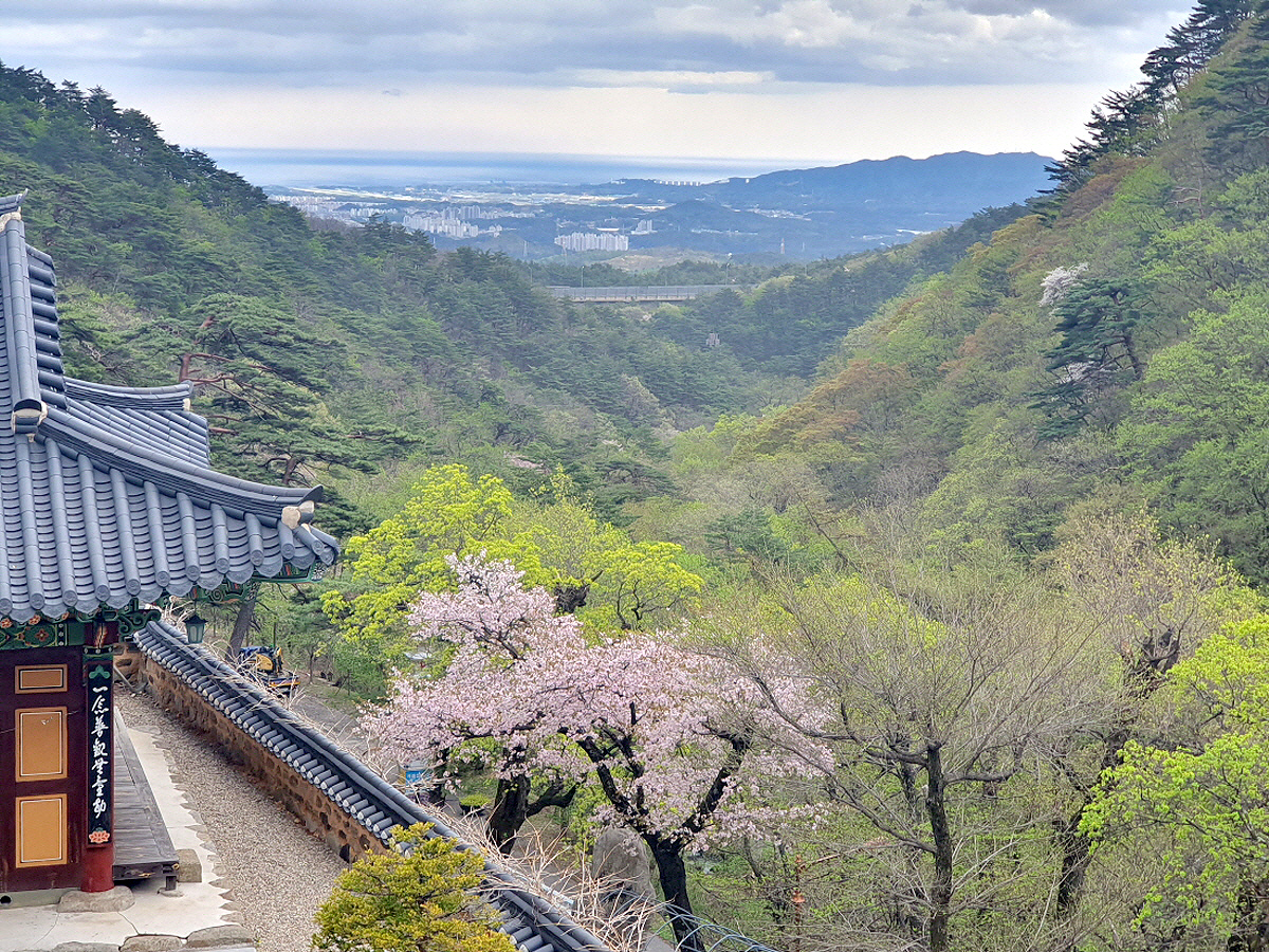 b7d494e9e395ea69afb53743726991f2_1714019870_25.jpg b7d494e9e395ea69afb53743726991f2_1714019870_25.jpg