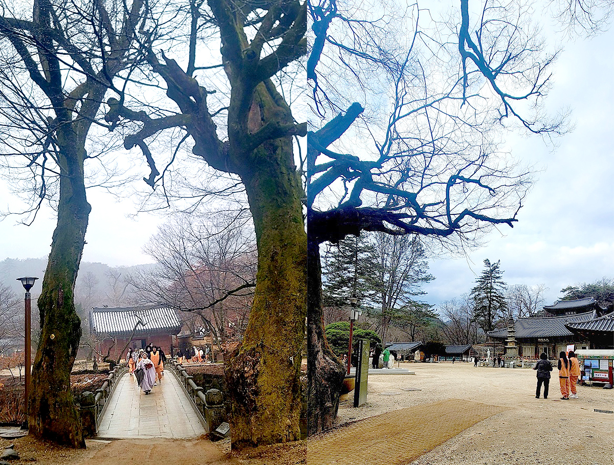 e7c3b4e14d8bb4fd070d1b186178b364_1714287176_06.jpg e7c3b4e14d8bb4fd070d1b186178b364_1714287176_06.jpg