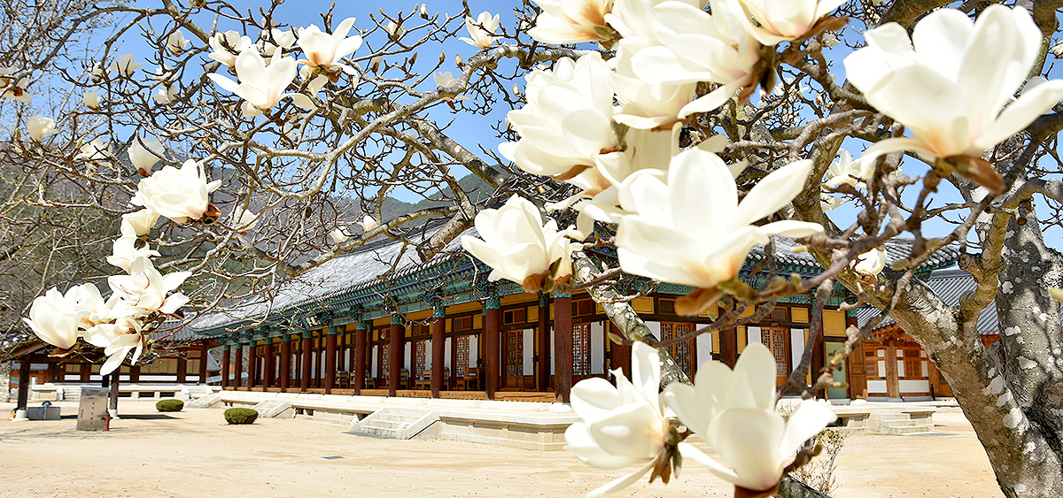 4d9a6ce19e2f65d93934b475441c77bb_1714615744_3.jpg 4d9a6ce19e2f65d93934b475441c77bb_1714615744_3.jpg