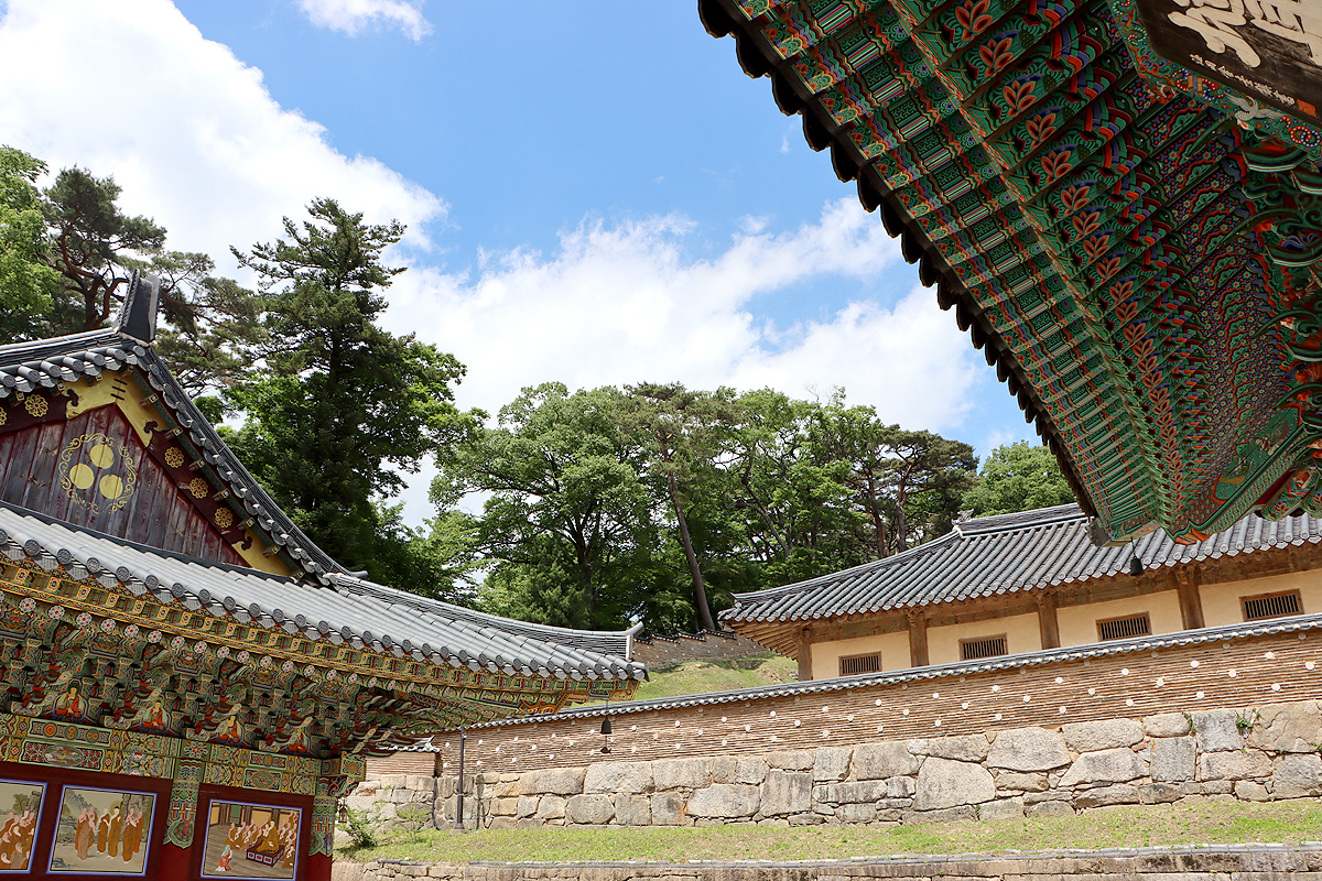 56625e65028d50ce0dbf8e1d1a4e76ac_1714666551_5.jpg 56625e65028d50ce0dbf8e1d1a4e76ac_1714666551_5.jpg