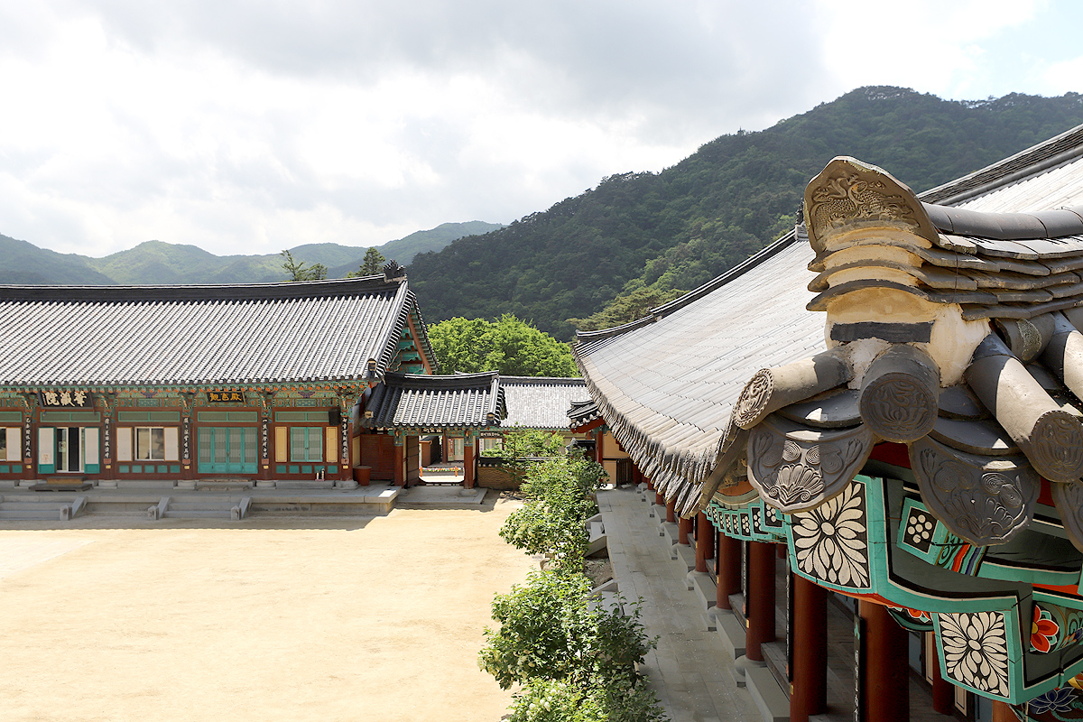 56625e65028d50ce0dbf8e1d1a4e76ac_1714666551_72.jpg 56625e65028d50ce0dbf8e1d1a4e76ac_1714666551_72.jpg