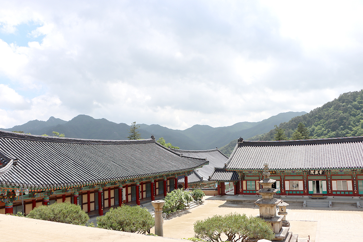 56625e65028d50ce0dbf8e1d1a4e76ac_1714666552_15.jpg 56625e65028d50ce0dbf8e1d1a4e76ac_1714666552_15.jpg