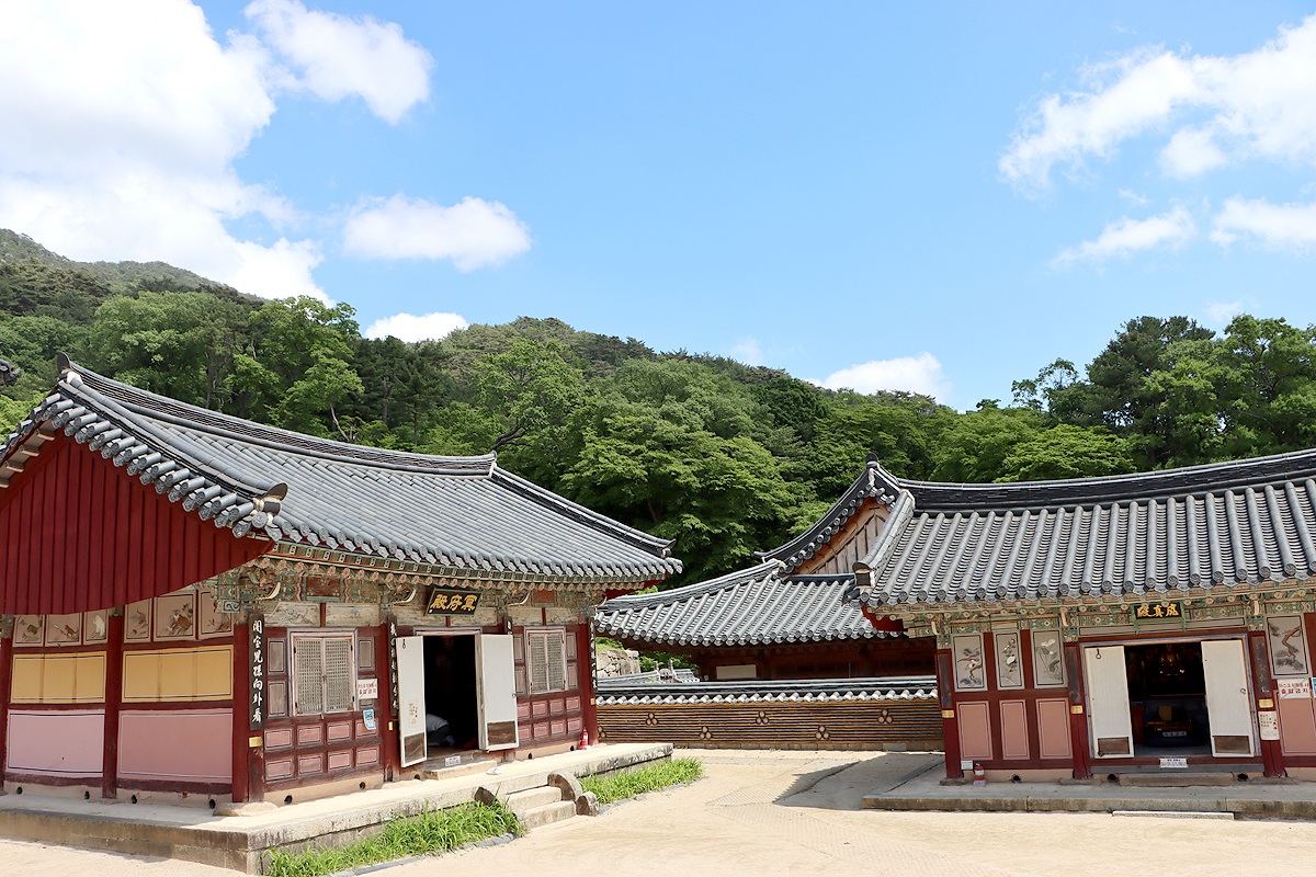 56625e65028d50ce0dbf8e1d1a4e76ac_1714666552_36.jpg 56625e65028d50ce0dbf8e1d1a4e76ac_1714666552_36.jpg