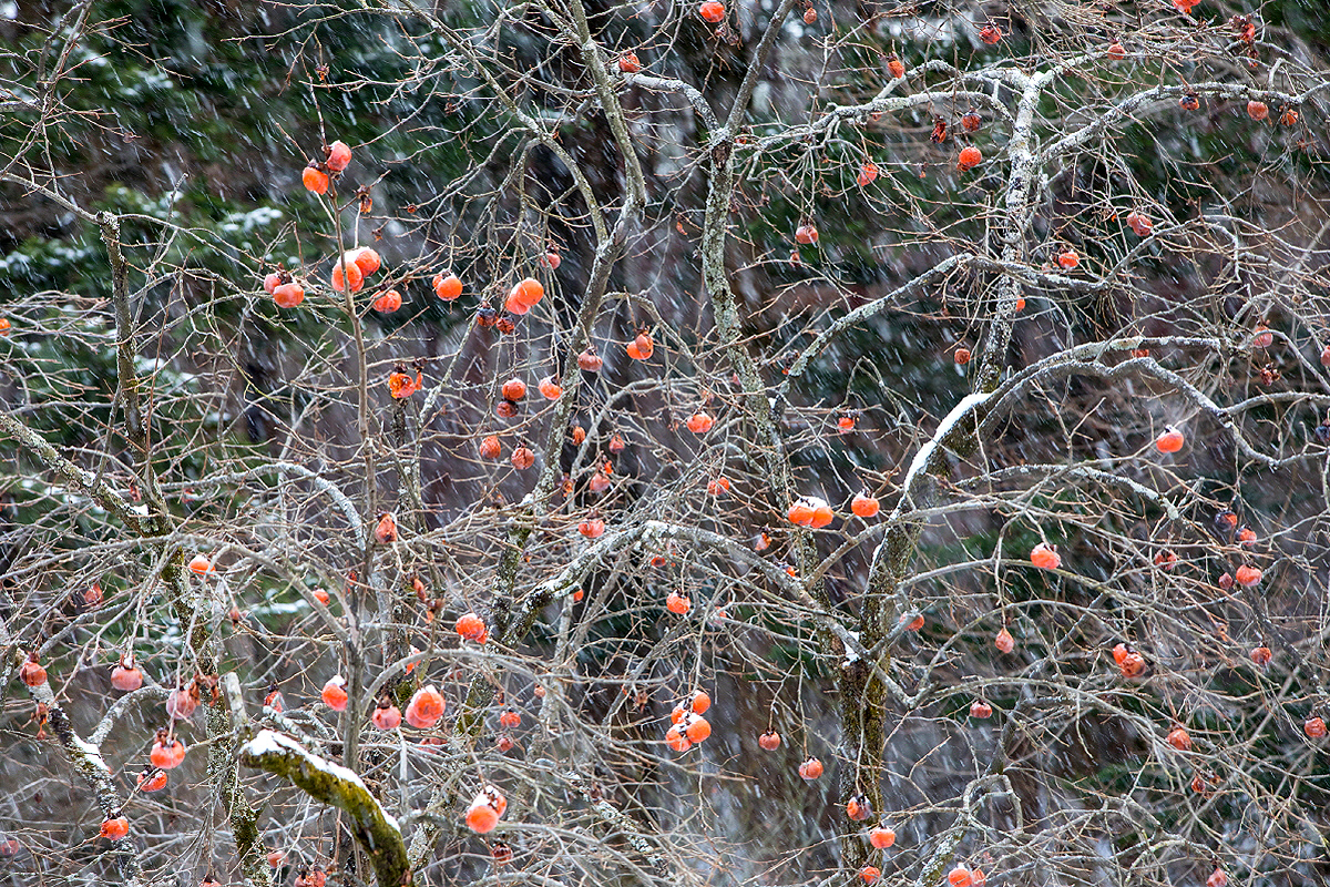 9cc3e5f0041bf6637c78ba9a36f1c3b3_1715039071_07.jpg 9cc3e5f0041bf6637c78ba9a36f1c3b3_1715039071_07.jpg