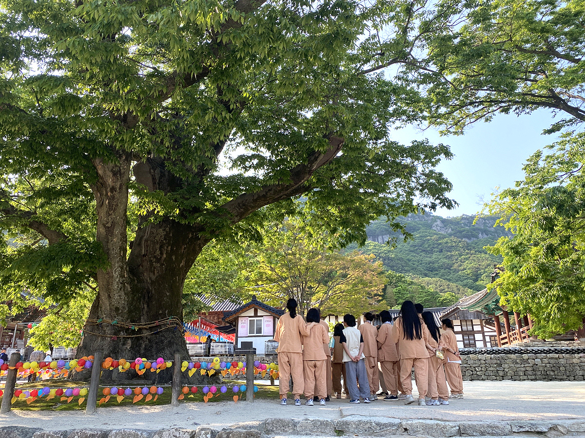 9cc3e5f0041bf6637c78ba9a36f1c3b3_1715039071_42.jpg 9cc3e5f0041bf6637c78ba9a36f1c3b3_1715039071_42.jpg