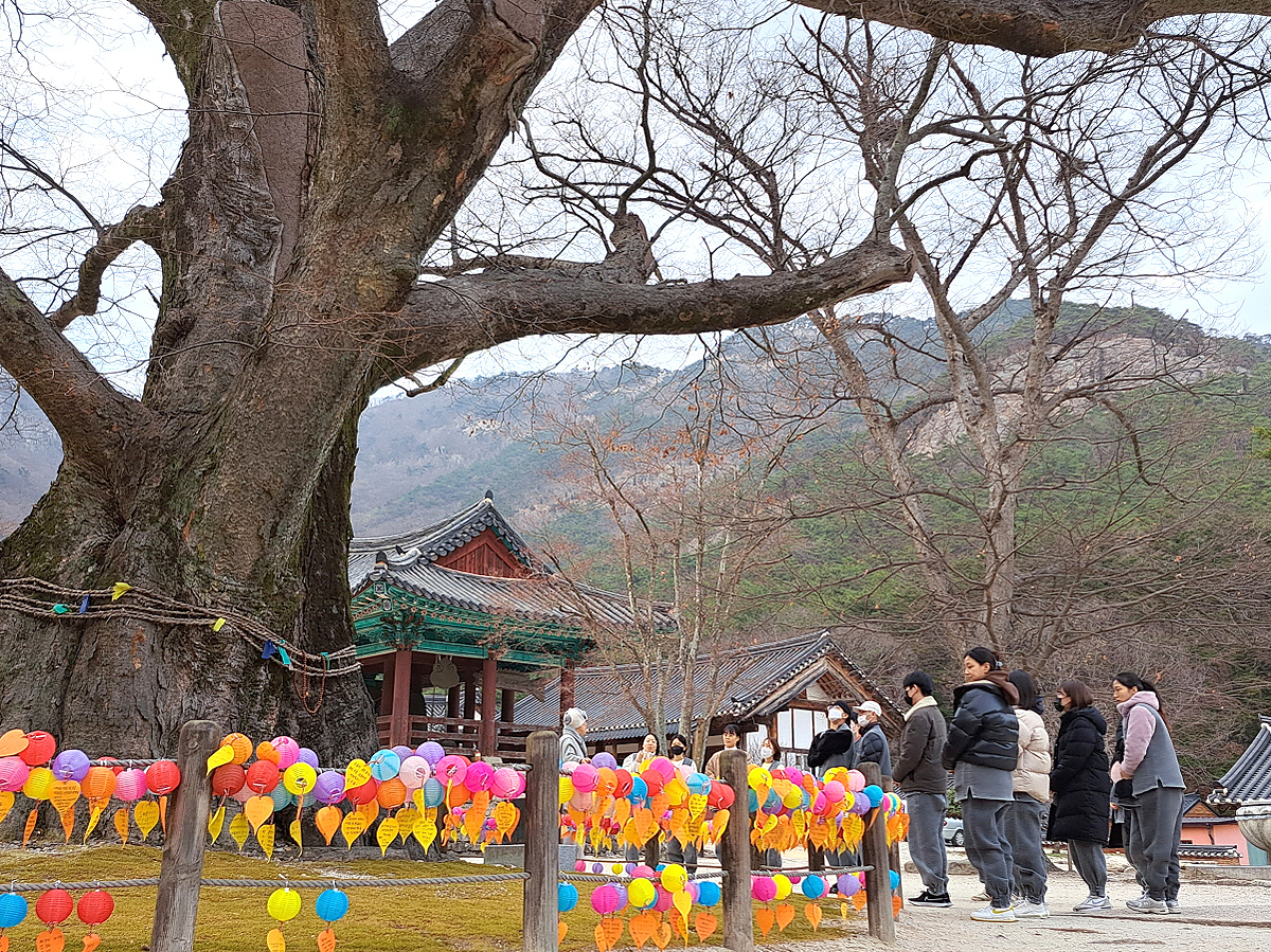 9cc3e5f0041bf6637c78ba9a36f1c3b3_1715039071_86.jpg 9cc3e5f0041bf6637c78ba9a36f1c3b3_1715039071_86.jpg