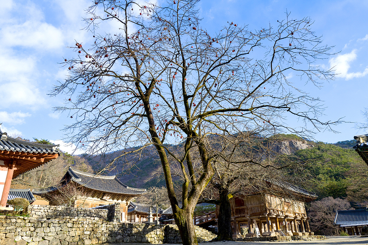 9cc3e5f0041bf6637c78ba9a36f1c3b3_1715039076_2.jpg 9cc3e5f0041bf6637c78ba9a36f1c3b3_1715039076_2.jpg